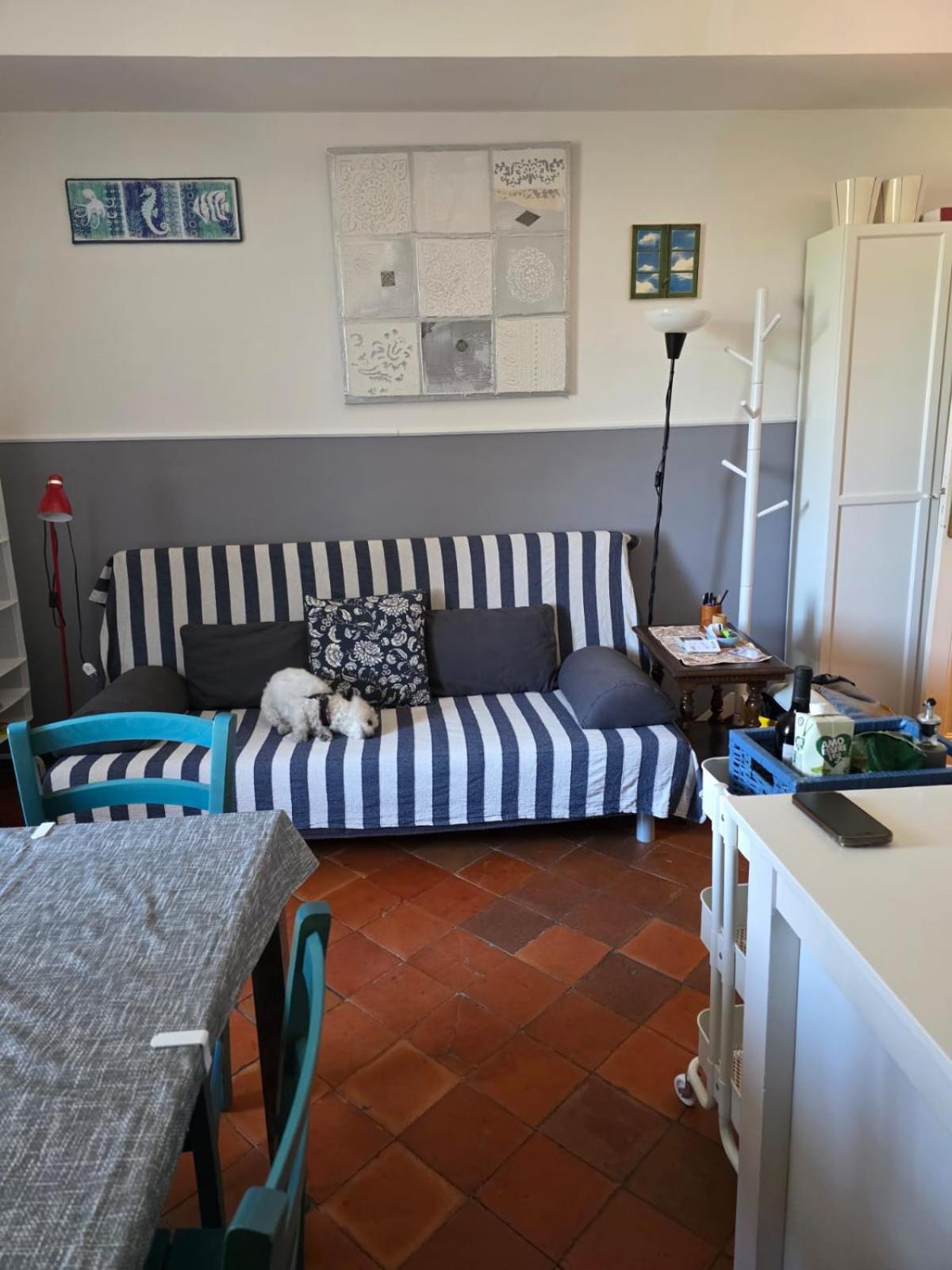 The Shell - New Interior Look But Same Old Charme 200Mt From The Sea With Garden And Parking Nearby Leilighet Imperia Eksteriør bilde