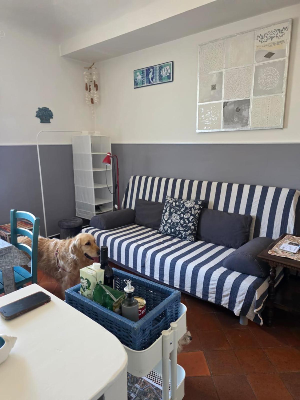 The Shell - New Interior Look But Same Old Charme 200Mt From The Sea With Garden And Parking Nearby Leilighet Imperia Eksteriør bilde